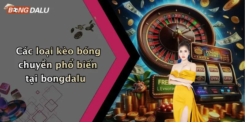 Các loại kèo bóng chuyền phổ biến tại bongdalu