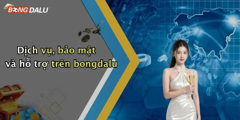 Dịch vụ, bảo mật và hỗ trợ trên bongdalu