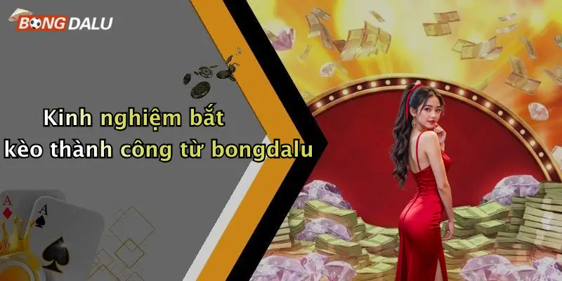 Kinh nghiệm bắt kèo thành công từ bongdalu
