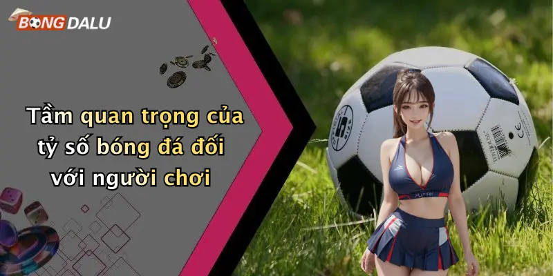 Tầm quan trọng của tỷ số bóng đá đối với người chơi