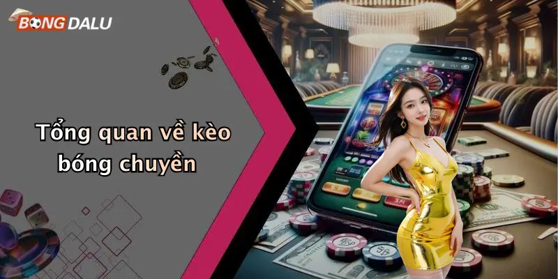 Tổng quan về kèo bóng chuyền