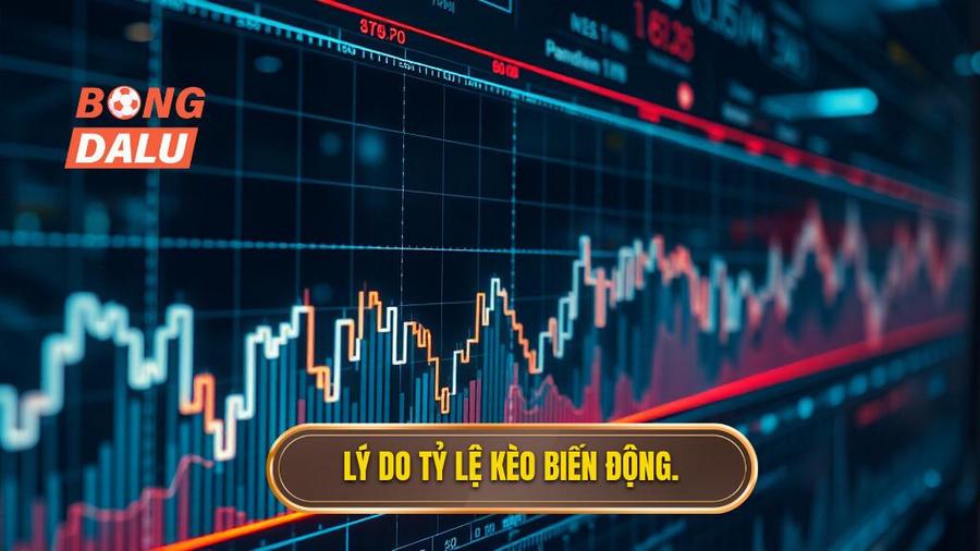 Tại sao tỷ lệ kèo lại biến động? Phân tích từ góc độ chuyên gia